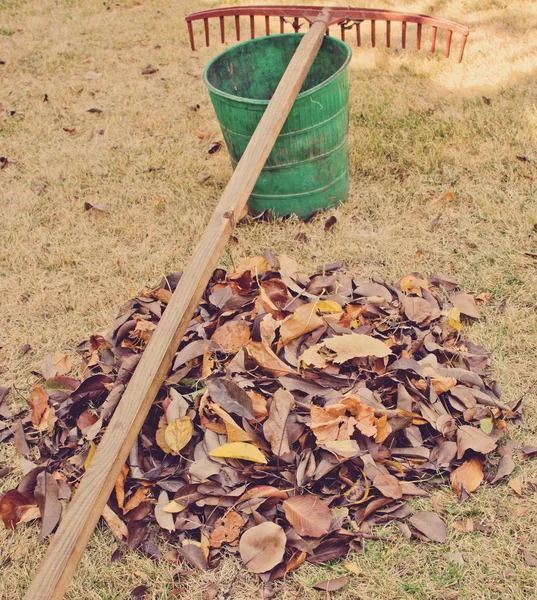 Rastrellare le foglie — Foto Stock