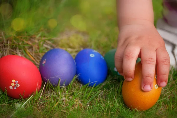 Eiersuche — Stockfoto