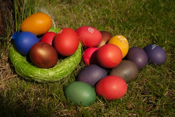 Kleurrijke Pasen eieren in nest op weide — Stockfoto