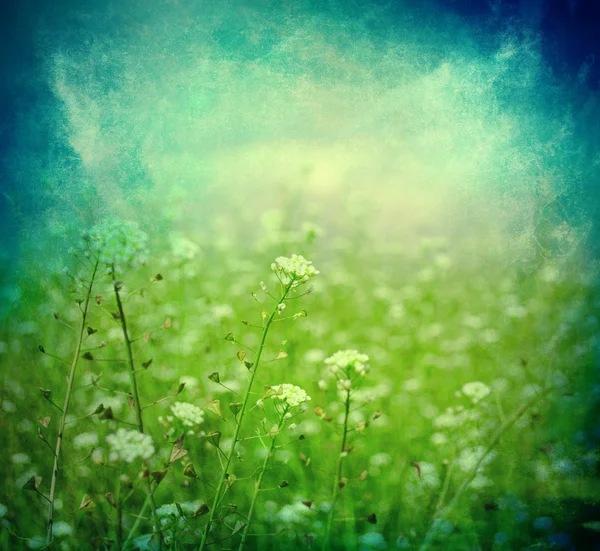 Prado verde sob céu azul com nuvens — Fotografia de Stock