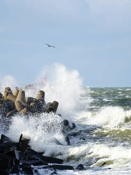 Grote Golven Breken Golfbreker Tijdens Herfststorm Baltische Zee — Stockfoto