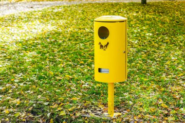 Park yeşilliğinin arka planında sarı köpek çöplüğü