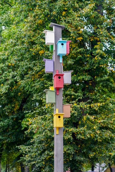 Viele Hölzerne Vogelkäfige Verschiedenen Farben Auf Einer Holzstange Grüner Laubhintergrund — Stockfoto