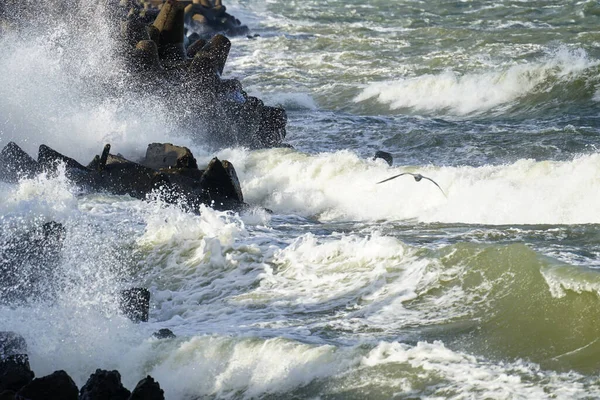 バルト海の秋の嵐の間に防波堤を破壊する大きな波 — ストック写真