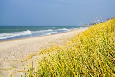 Kumlu Baltık Sahili boyunca deniz manzaralı güzel bir deniz manzarası, seçici bir odak noktası.
