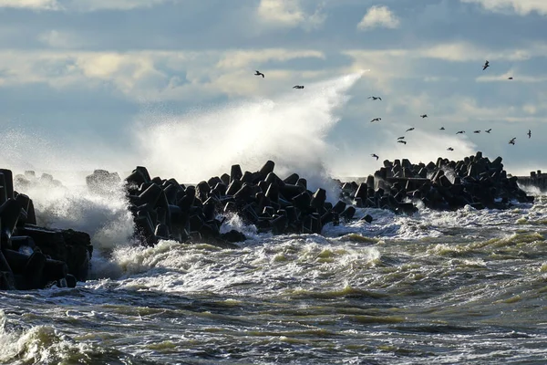 Tempestade Costeira Mar Báltico Grandes Ondas Colidem Contra Quebra Mar — Fotografia de Stock