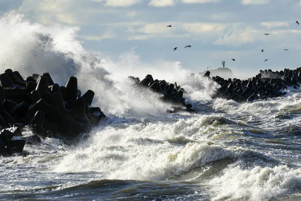 バルト海沿岸の嵐 港の入り口のコンクリート防波堤に対する大きな波の衝突 — ストック写真