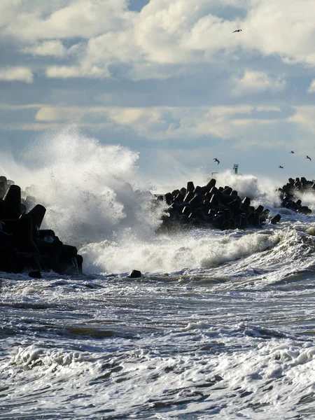 Берегова Буря Балтійському Морі Великі Хвилі Розбиваються Бетонну Хвилю Біля — стокове фото