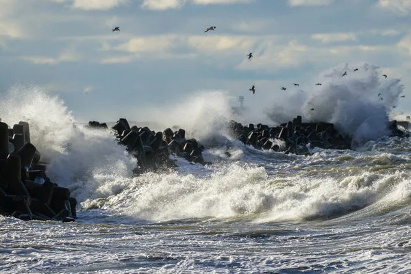 Tempestade Costeira Mar Báltico Grandes Ondas Colidem Contra Quebra Mar — Fotografia de Stock