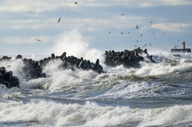 Baltık Denizi 'ndeki kıyı fırtınası, büyük dalgalar liman girişindeki beton dalgalanmalarına çarpıyor.