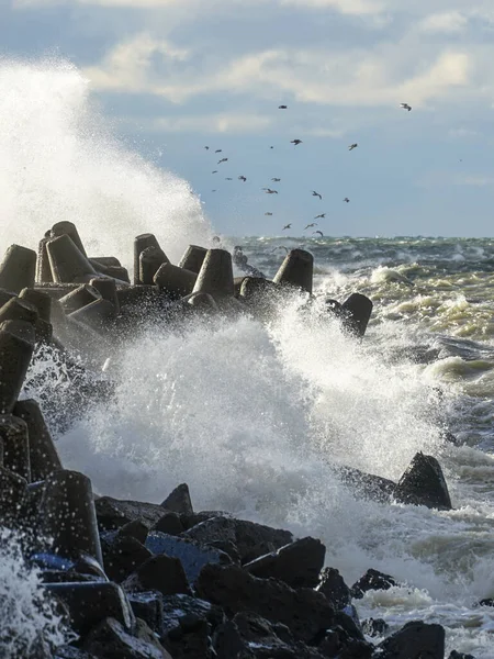 バルト海の冬の嵐の間に防波堤で波がクラッシュする — ストック写真