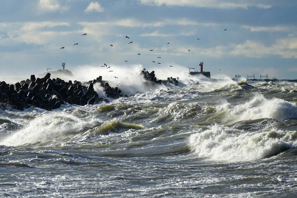 バルト海沿岸の嵐 港の入り口のコンクリート防波堤に対する大きな波の衝突 — ストック写真