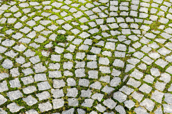 Green grass grows through the gaps in the pavement granite stones