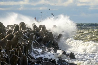 Baltık Denizi 'ndeki kış fırtınaları sırasında dalgalar dalgaların üzerine düşer.