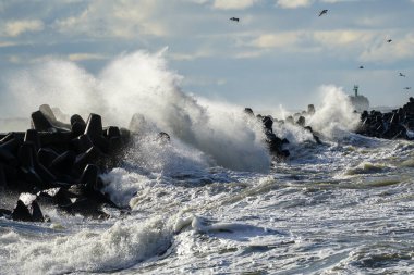 Baltık Denizi 'ndeki kış fırtınaları sırasında dalgalar dalgaların üzerine düşer.