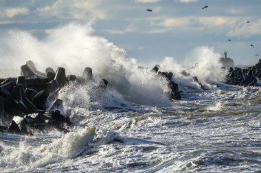 Baltık Denizi 'ndeki kış fırtınaları sırasında dalgalar dalgaların üzerine düşer.