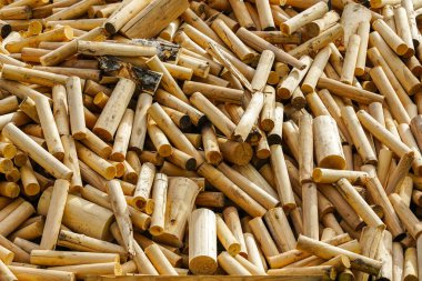 A pile of firewood with many round logs of the same length but different diameters