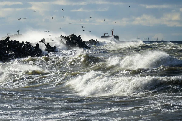 バルト海沿岸の嵐 港の入り口のコンクリート防波堤に対する大きな波の衝突 — ストック写真