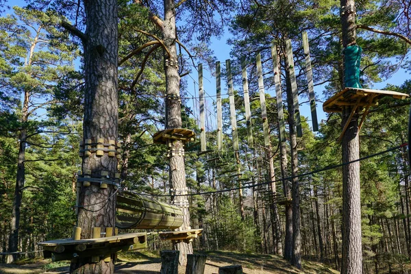 High Rope Logs Bridge Pine Forest Part Ropes Course Adventure — Stockfoto