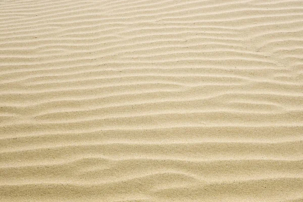Κυματισμοί Άμμου Που Δημιουργούνται Από Τον Άνεμο Στη Λεπτή Άμμο — Φωτογραφία Αρχείου