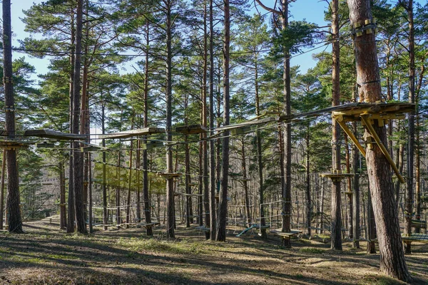 Hochseil Und Baumstämme Brücke Kiefernwald Teil Eines Hochseilgartens Erlebnispark — Stockfoto