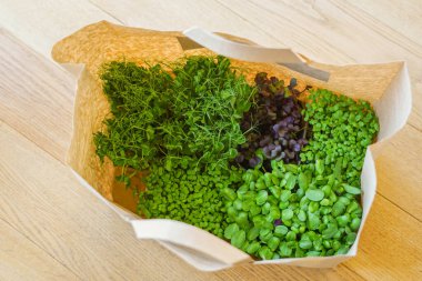 Turp, ayçiçeği, hardal ve bezelye filizleri geri dönüşümlü malzemelerin kağıt torbasında.