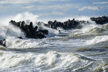 Baltık Denizi 'nde büyük dalgalar dalgalanmaya başladı.