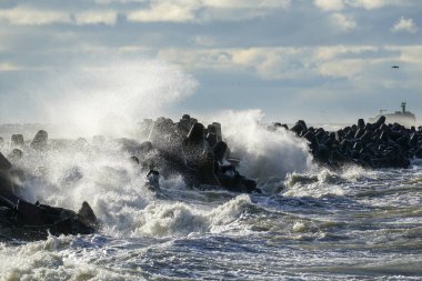 Baltık Denizi 'ndeki kıyı fırtınası, büyük dalgalar liman girişindeki beton dalgalanmalarına çarpıyor.