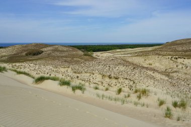 Curonian Spit kum tepelerinin ve UNESCO Dünya Mirasları Listesinde yazılı olan Baltık Denizi Curonian Gölünün güzel manzarası