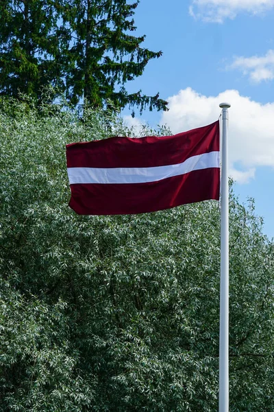 Latvian State Flag Mast Waving Wind Blue Sky Green Foliage — Φωτογραφία Αρχείου
