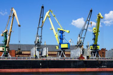 Yellow and blue painted cranes are loading bulk carriers in the port against a blue sky background