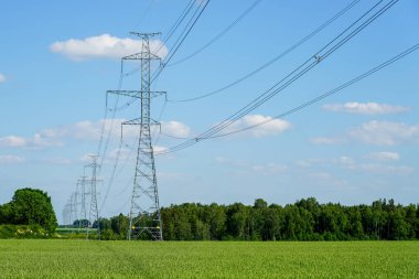 A row of high-voltage power line supports in a cereal field on a background of blue sky and white clouds