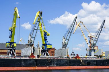Bulk carrier with open storage tanks in port bulk terminal, port cranes painted in the colors of the Ukrainian flag with buckets ready for work