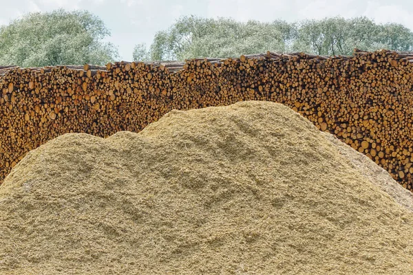 Large Pile Wood Chips Tall Ridge Logs Port Area — Stockfoto