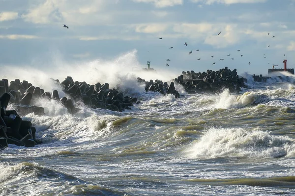 Large Waves Created Stormy Weather Crash Breakwater Concrete Tetrapods High — ストック写真