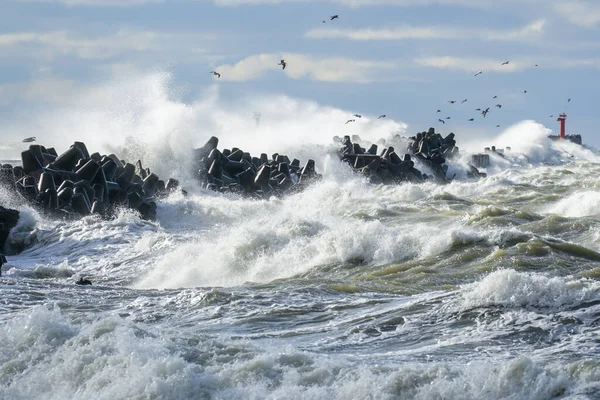 Large Waves Created Stormy Weather Crash Breakwater Concrete Tetrapods High — ストック写真