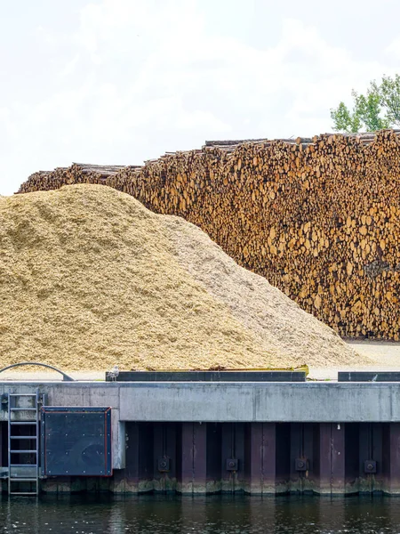Large Pile Wood Chips Tall Ridge Logs Port Area — Stockfoto