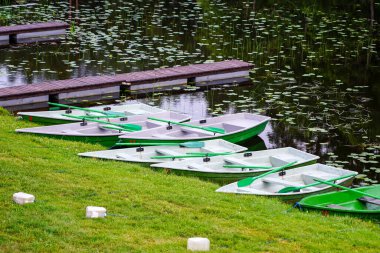 Gölün kıyısında bir tekne iskelesi ve kiralık fiberglas kayıklar.