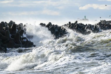 Baltık Denizi 'nde büyük dalgalar dalgalanmaya başladı.