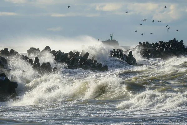 High waves crash against the harbor breakwater concrete tetrapods during stormy weather