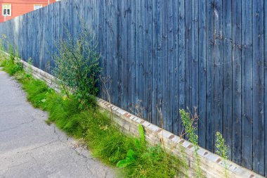 Ahşap çitin beton tabanı ile şehrin kaldırımı arasında büyük otlar büyüdü.