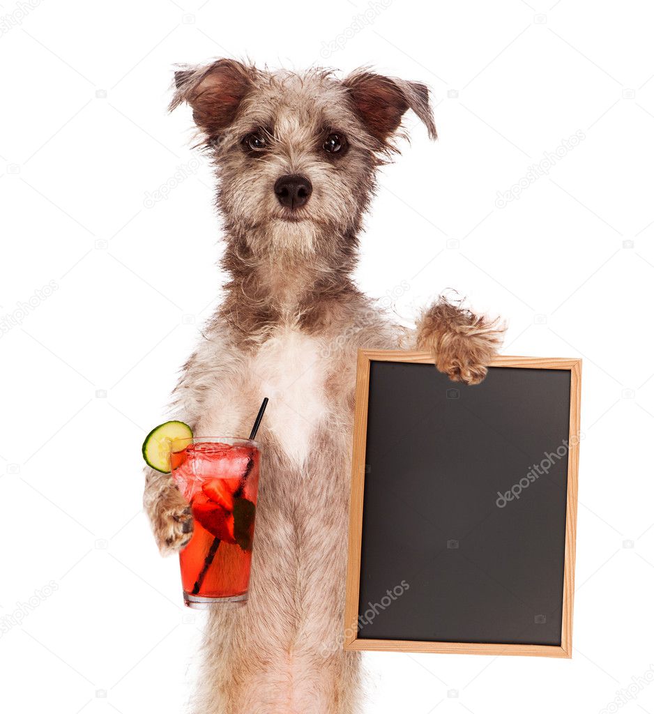 Terrier Holding Drink and Sign