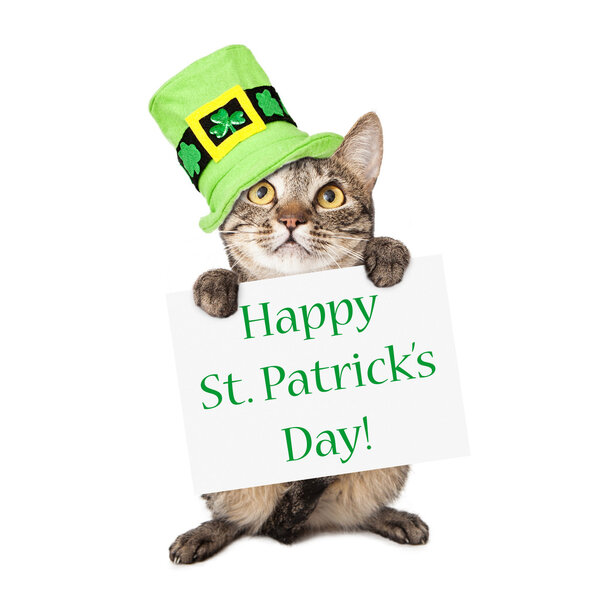Cat Carrying St Patricks Day Sign