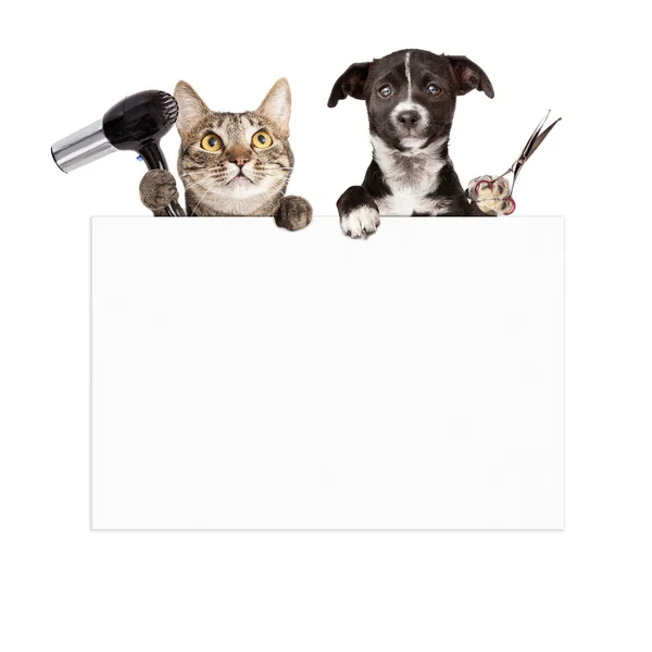 犬と猫の毛づくろい空白記号 — ストック写真