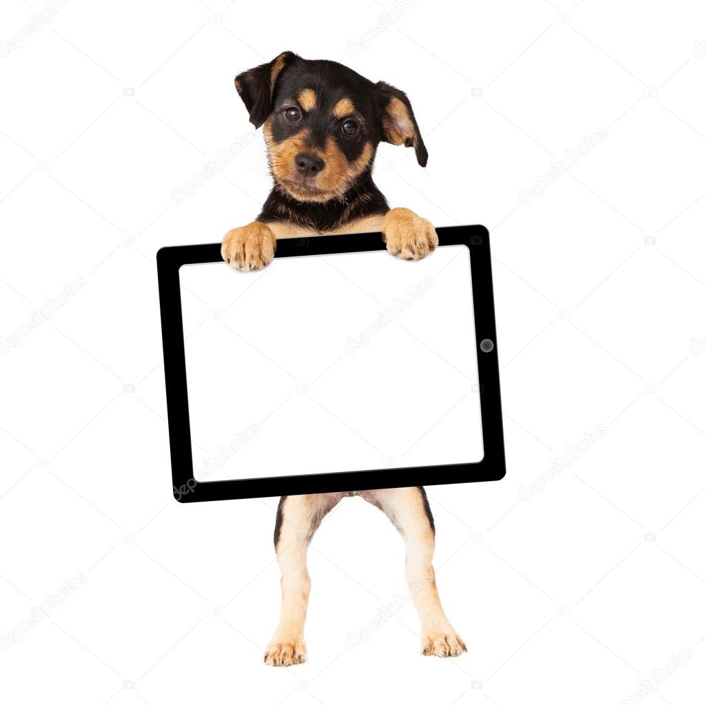Puppy Holding Tablet Computer