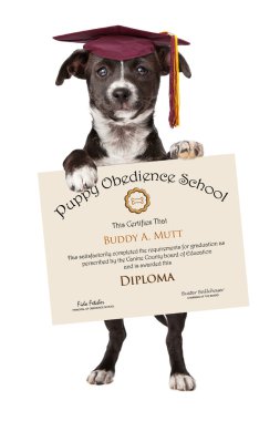 Puppy Obedience School Graduation clipart