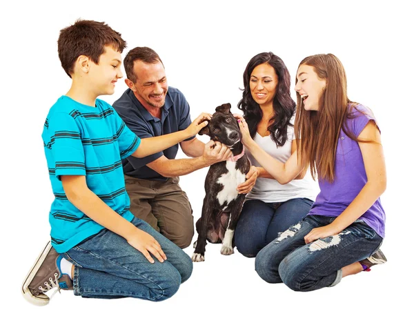 Mutlu bir aile yeni bir köpek karşılama — Stok fotoğraf