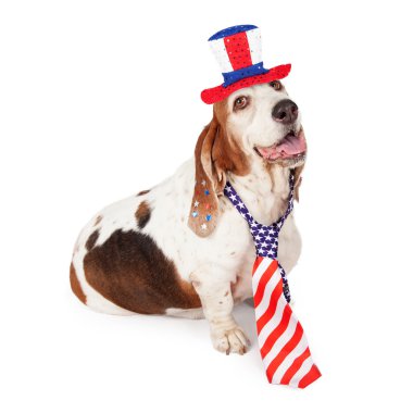 Basset Hound on Fourth of July clipart