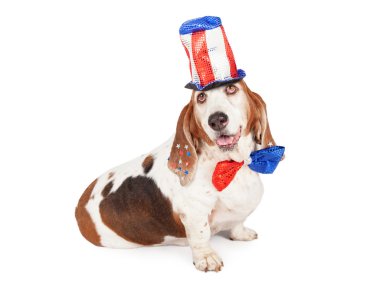 Bağımsızlık günü basset hound