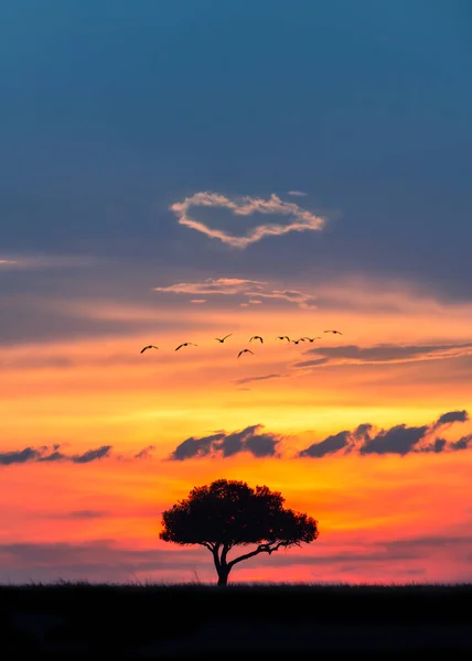 Piękny Kolorowy Złoty Zachód Słońca Afryce Chmurami Kształcie Serca Oświetlonego — Zdjęcie stockowe